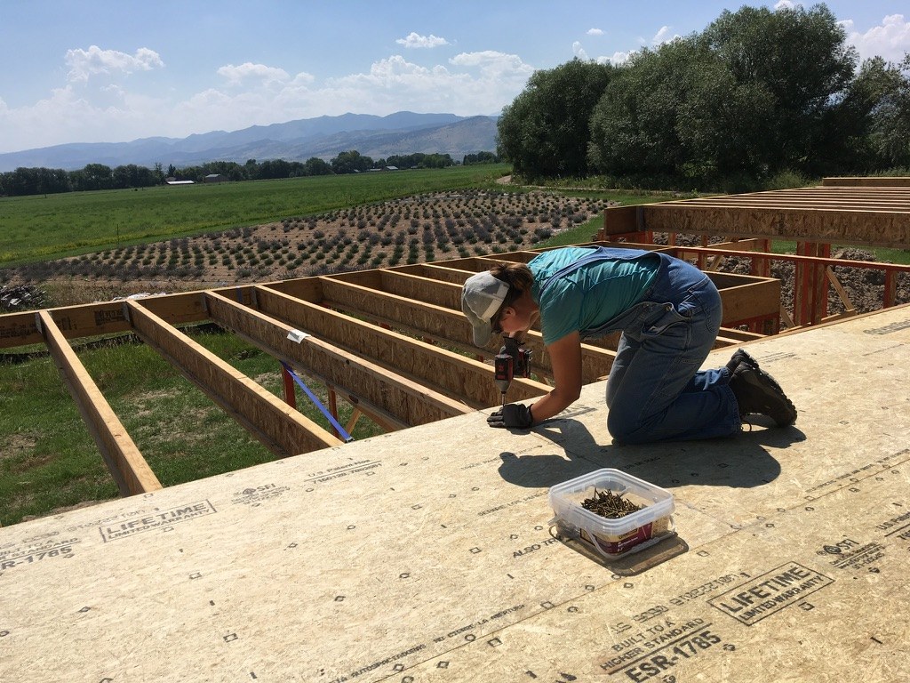 Laura building the house by hand, with the young lavender field in the background