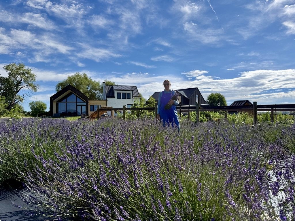Laura standing among rows of blooming lavender with the farmhouse and Rocky Mountain foothills behind her